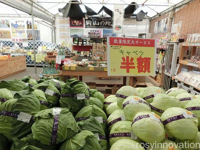 農マル園芸総社４　きゃべつ